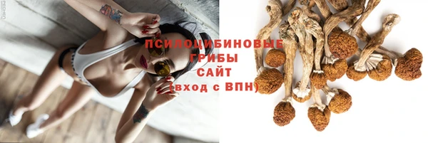 a pvp Аркадак