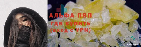 трава Новодвинск
