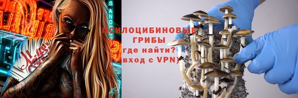прущий лед Арсеньев