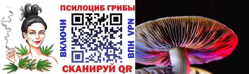 ОМГ ОМГ онион  Оханск  Галлюциногенные грибы Psilocybine cubensis 